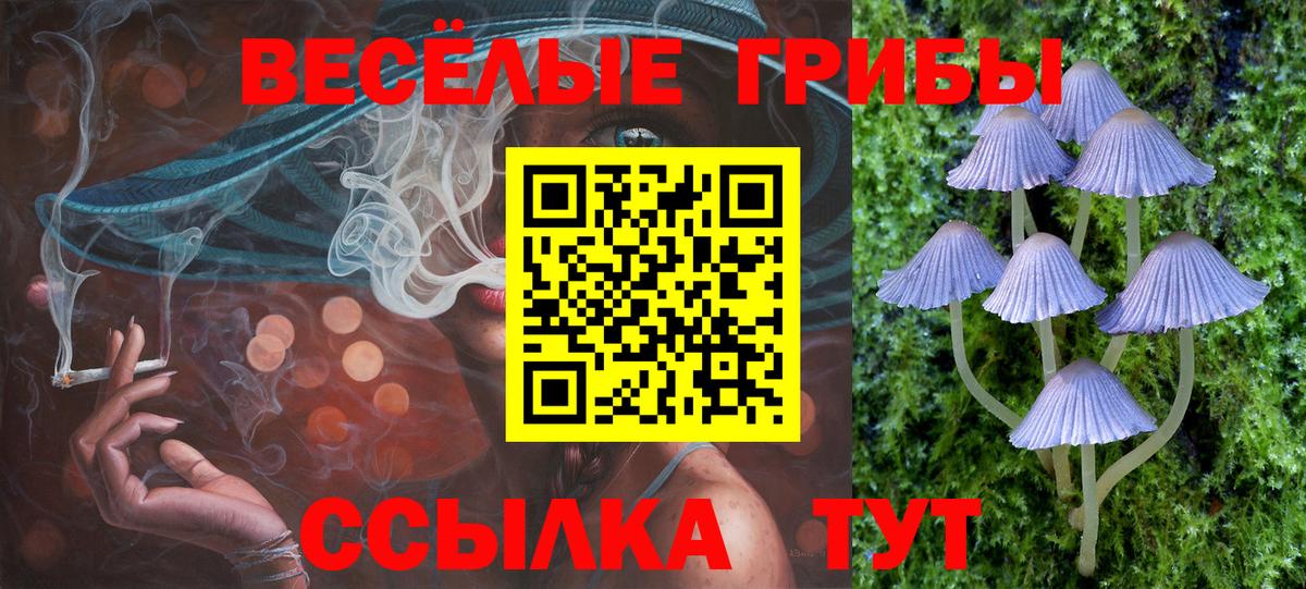 Петропавловск-Камчатский  Псилоцибиновые грибы Psilocybine cubensis  Вход с VPN 