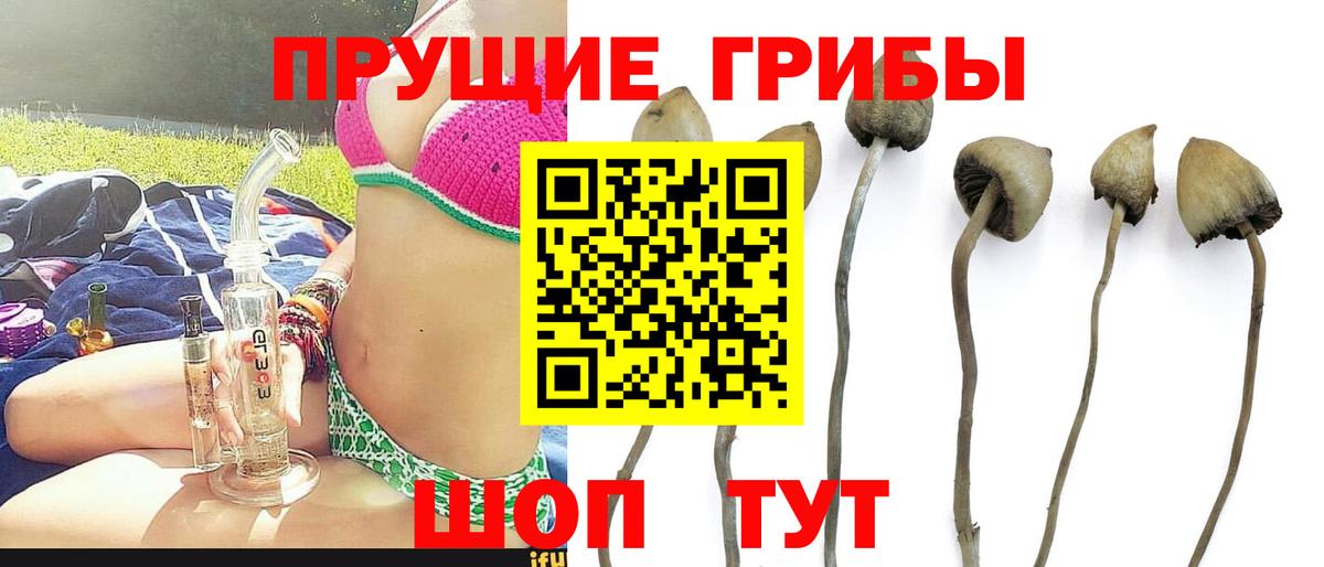 Галлюциногенные грибы прущие грибы Петропавловск-Камчатский